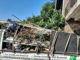 Best Residential Junk Removal  in Pendleton, SC